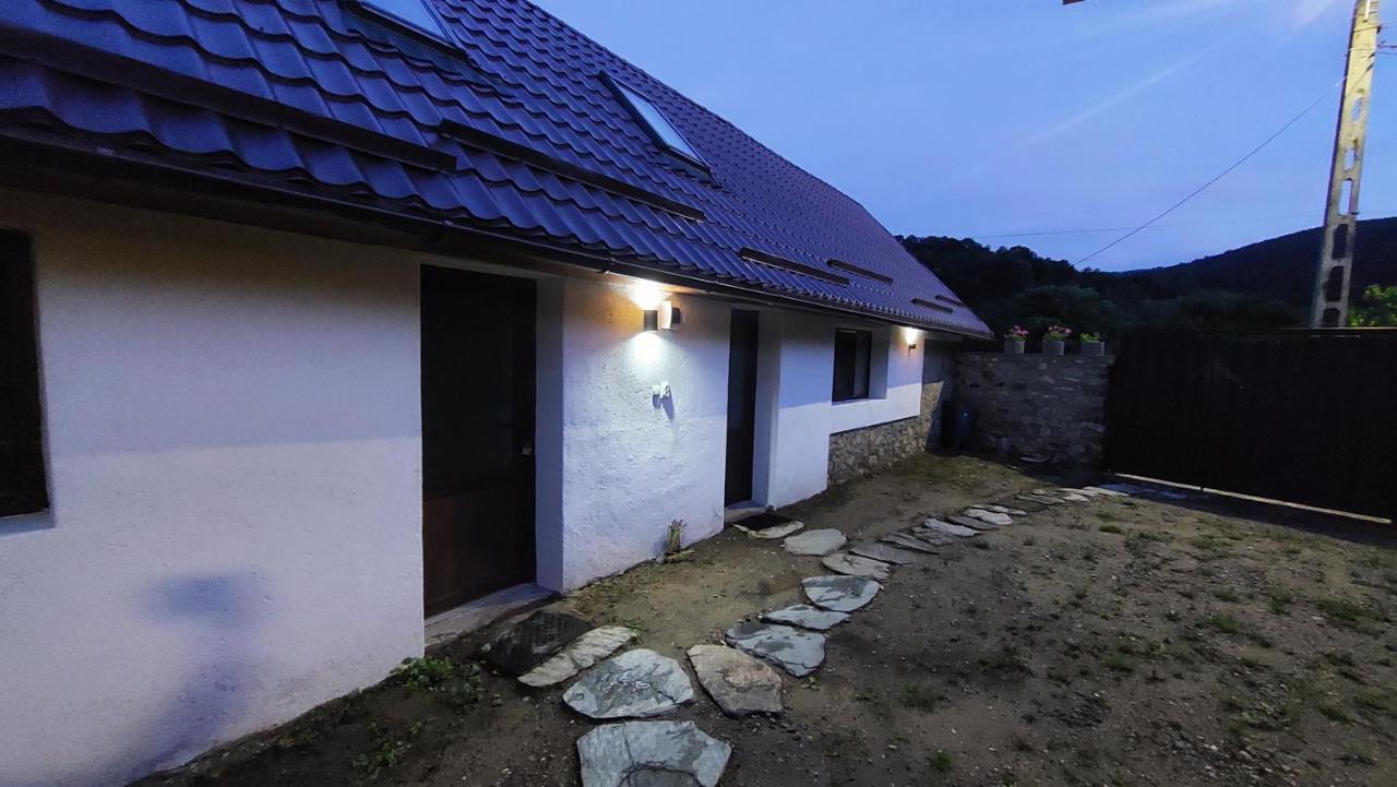 Casa Noua Villa Sasca Montană Exterior foto