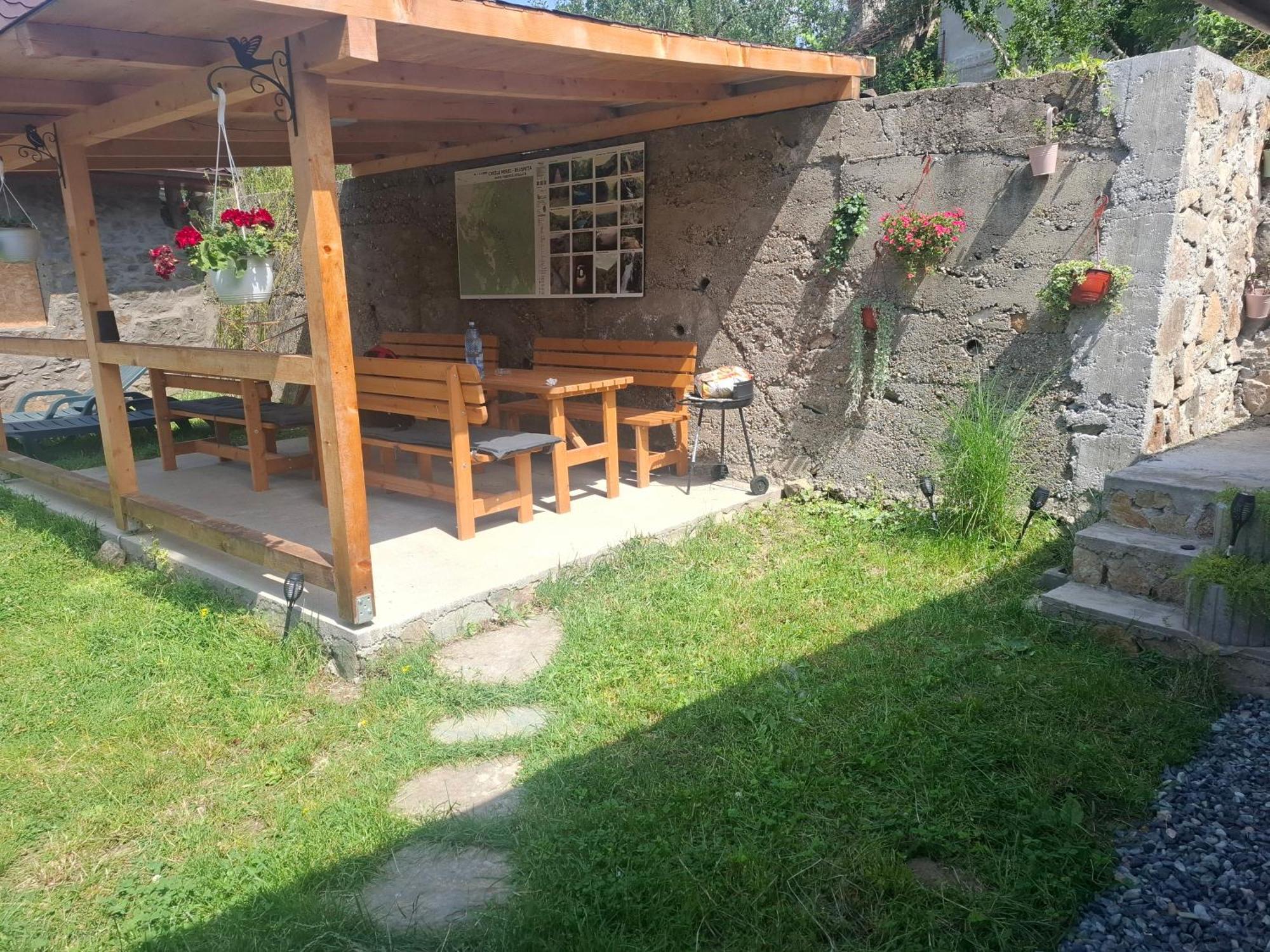 Casa Noua Villa Sasca Montană Exterior foto